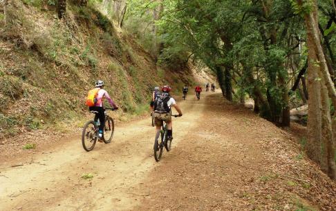 טיול אופניים בקפריסין: טיול שטח מודרך בהרי הטרודוס
