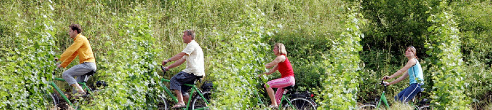 אופניים לאורך המוזל ב-7 ימים בנתיב היין מטרייר לקובלנץ