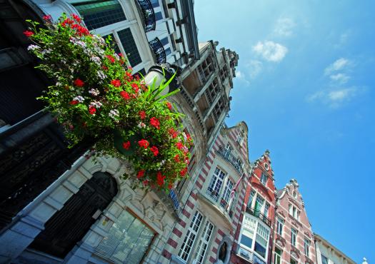 בניין עם פרחים באמסטרדם