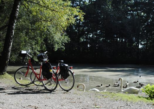 אופניים עומדות ליד נהר באגמי מינכן